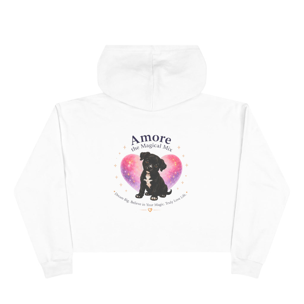 Adult Amore the Magical Mix  Crop Hoodie Venice Beach Edition