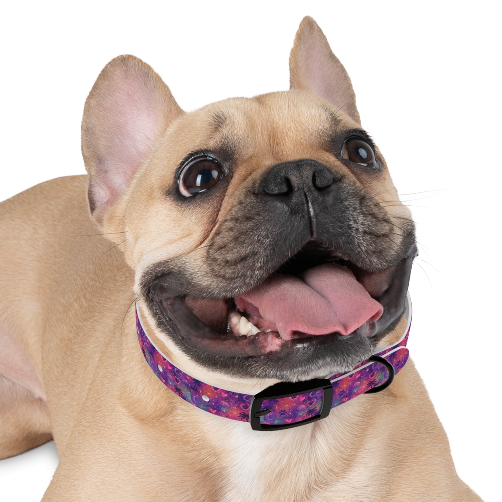 Dog Collar Amore Magical Mix | Coastal Sunset