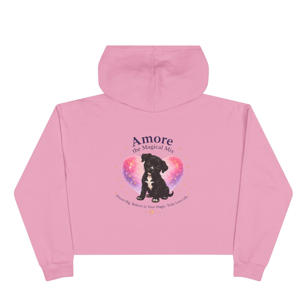 Adult Amore the Magical Mix  Crop Hoodie Venice Beach Edition