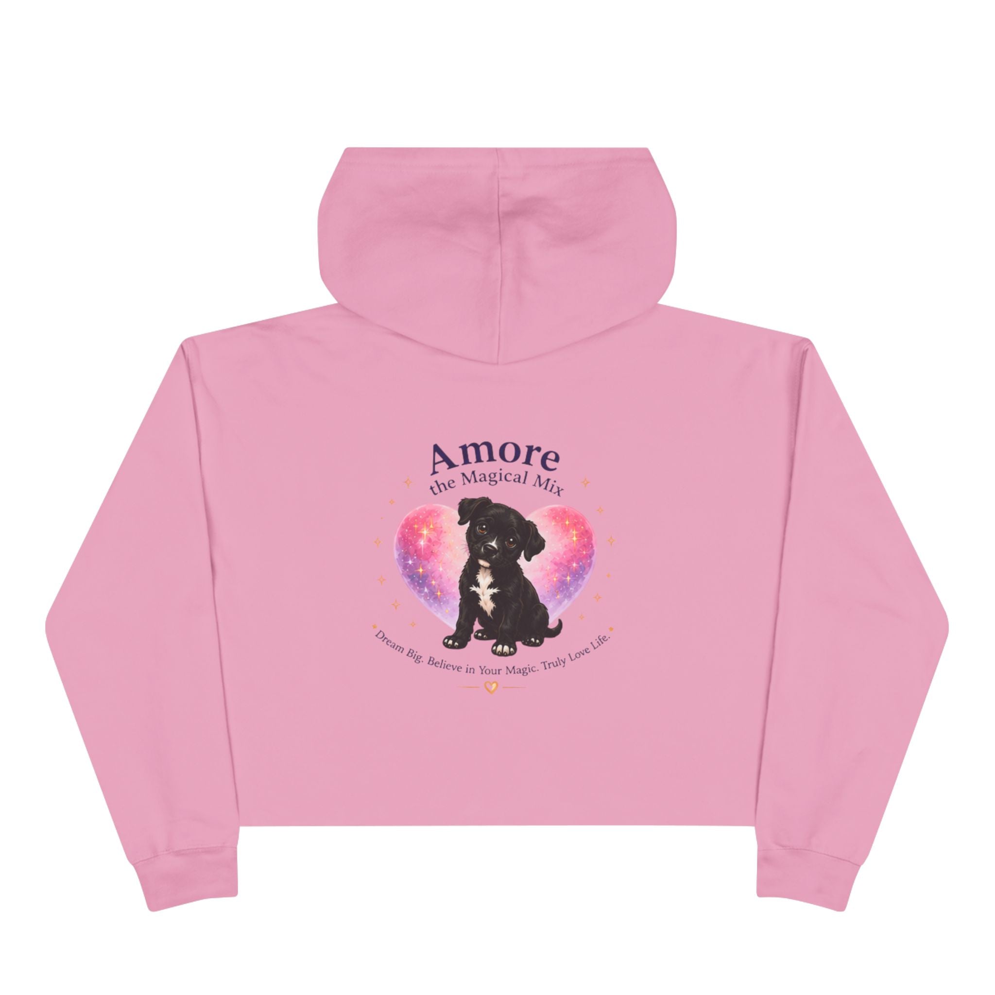 Adult Amore the Magical Mix  Crop Hoodie Venice Beach Edition