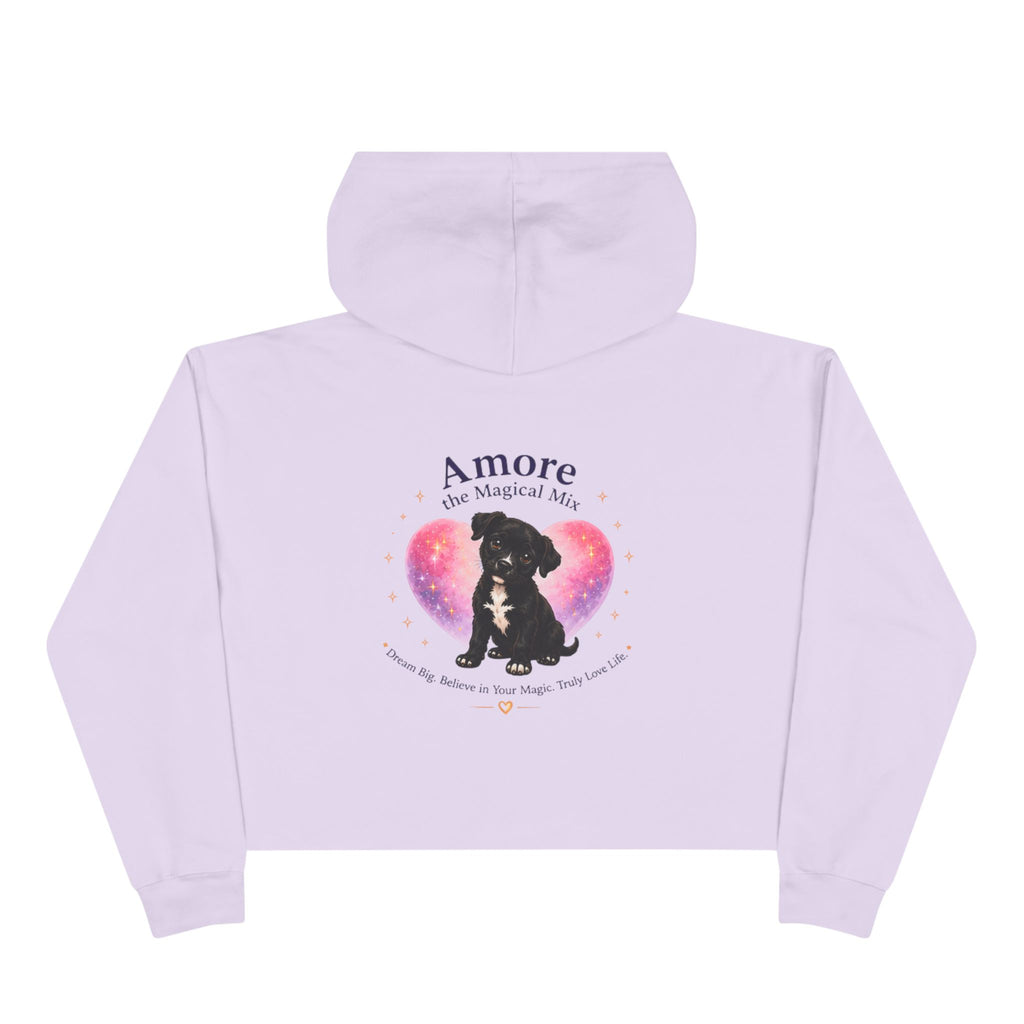 Adult Amore the Magical Mix  Crop Hoodie Venice Beach Edition