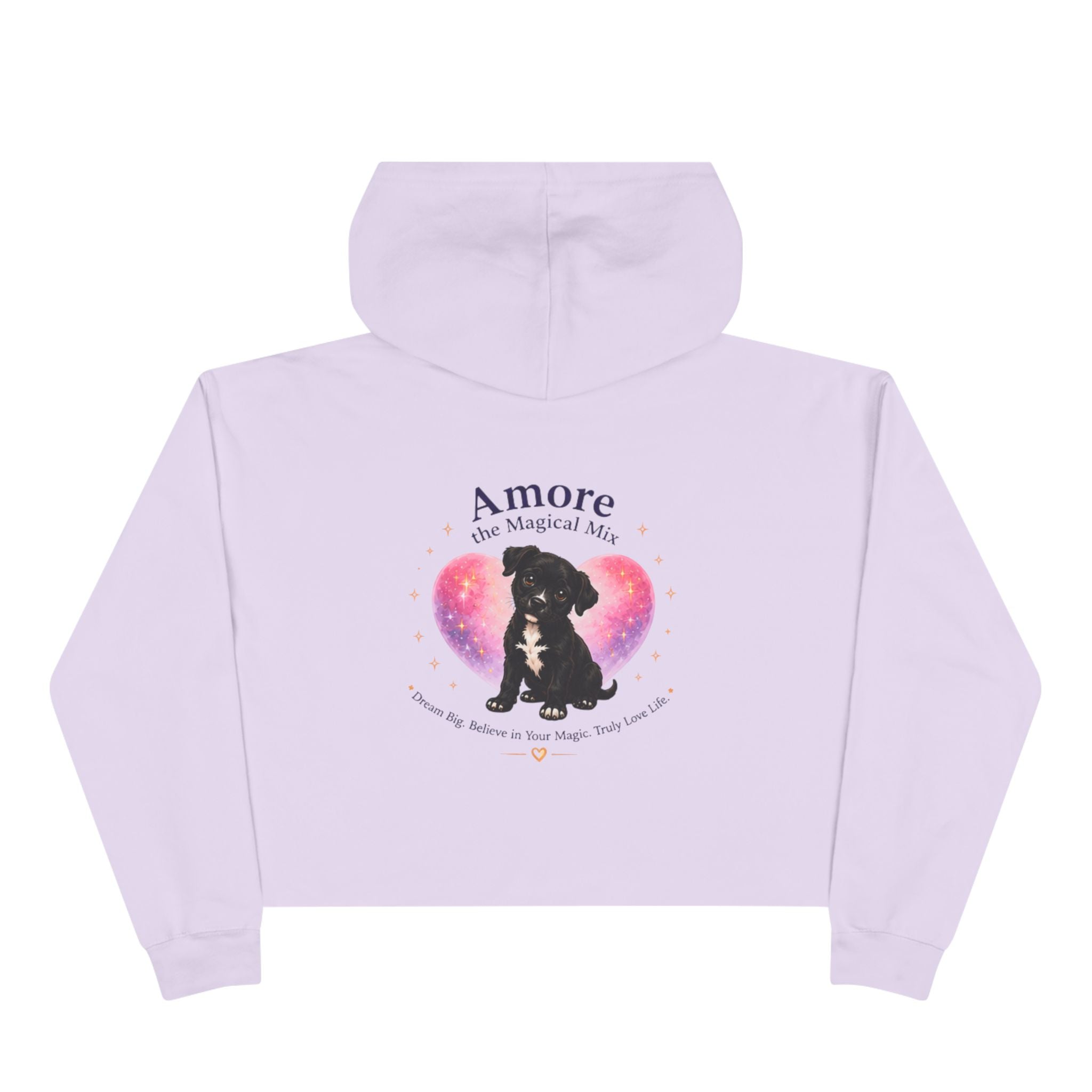 Adult Amore the Magical Mix  Crop Hoodie Venice Beach Edition