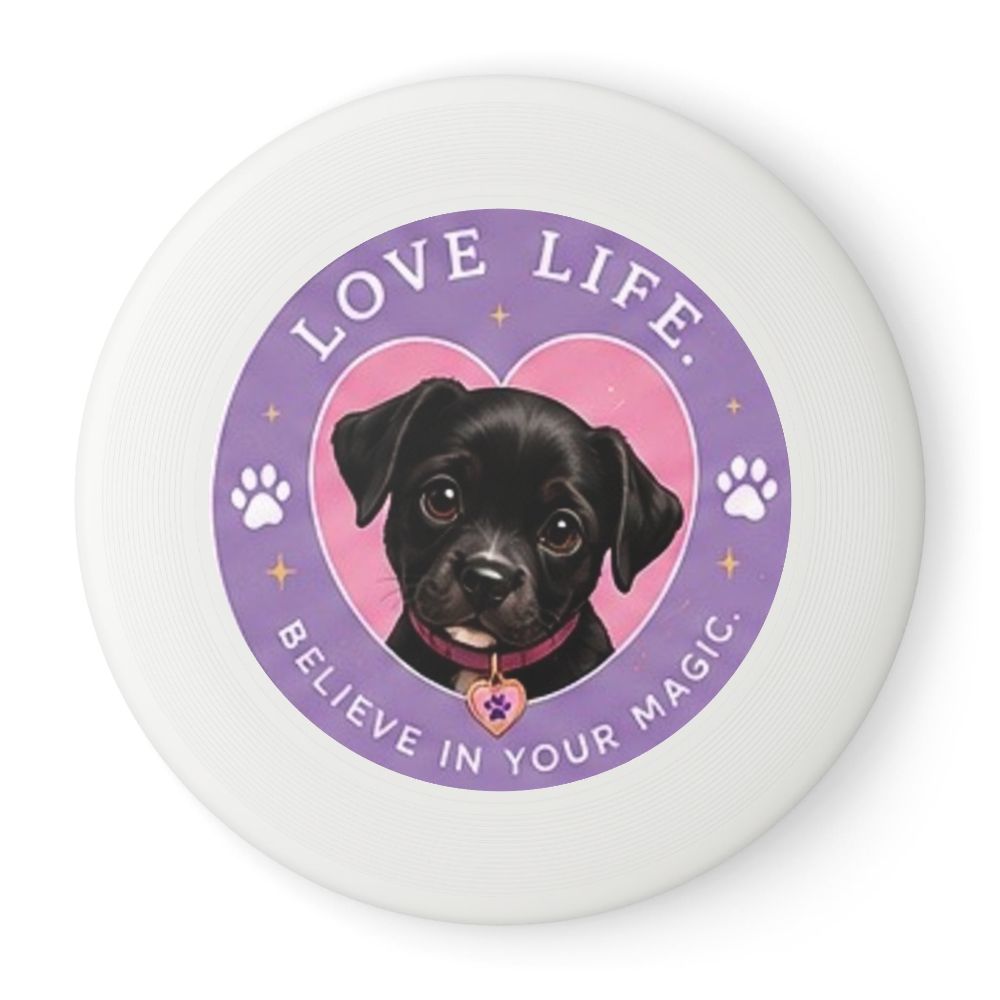 Frisbee Amore the Magical Mix Love Life Disc Design