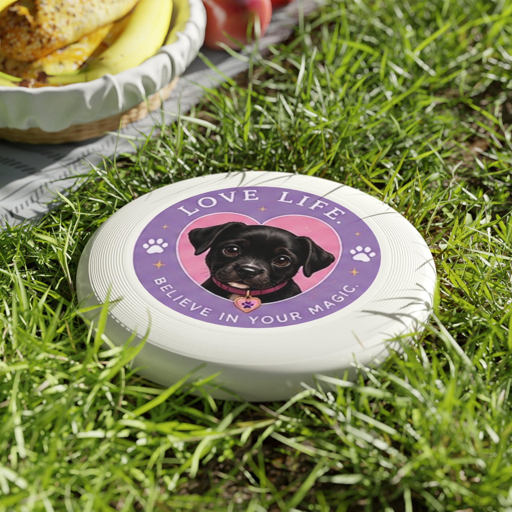 Frisbee Amore the Magical Mix Love Life Disc Design