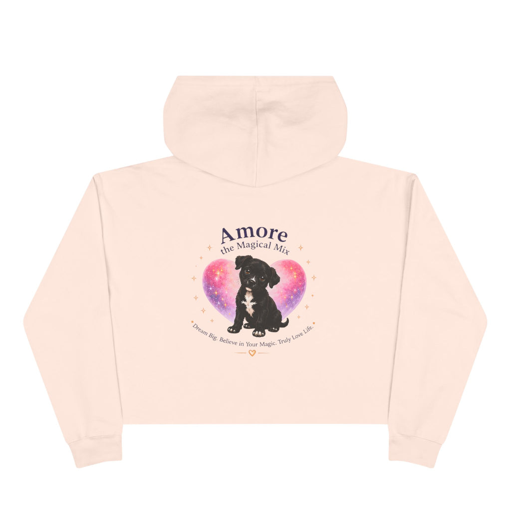 Adult Amore the Magical Mix  Crop Hoodie Venice Beach Edition