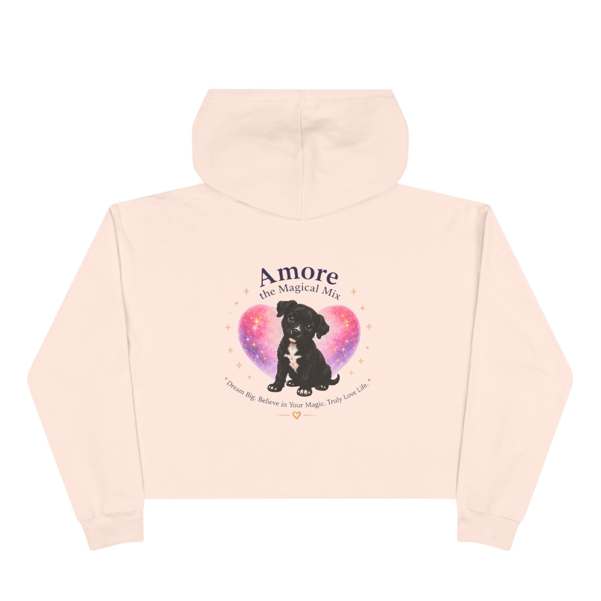 Adult Amore the Magical Mix  Crop Hoodie Venice Beach Edition